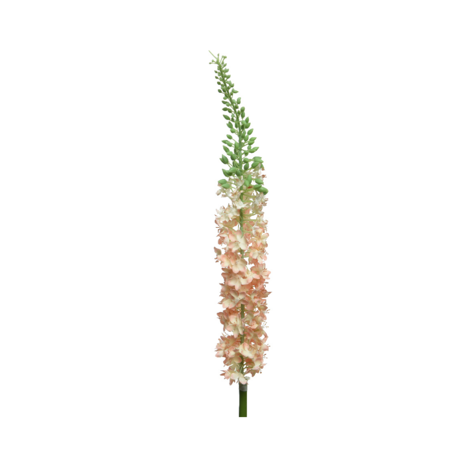 Delphinium Stem
