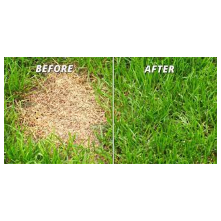 Westland Gro Sure Smart Patch - Image 2