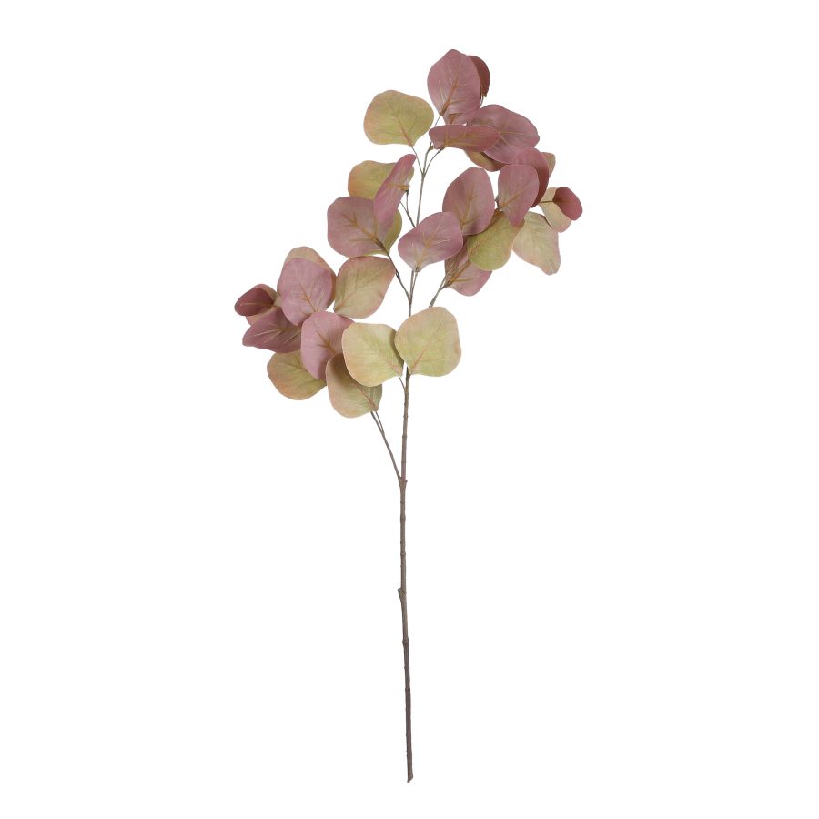Edelman Autumnal Eucalyptus