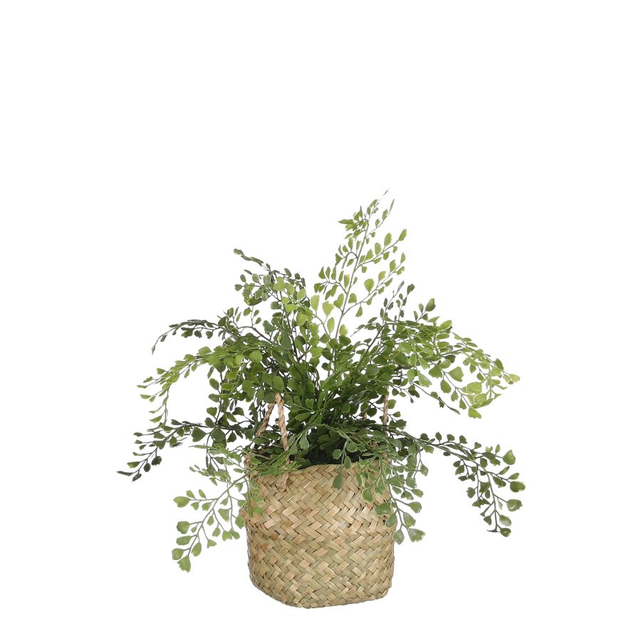 Artificial Adiantum Fern In Basket