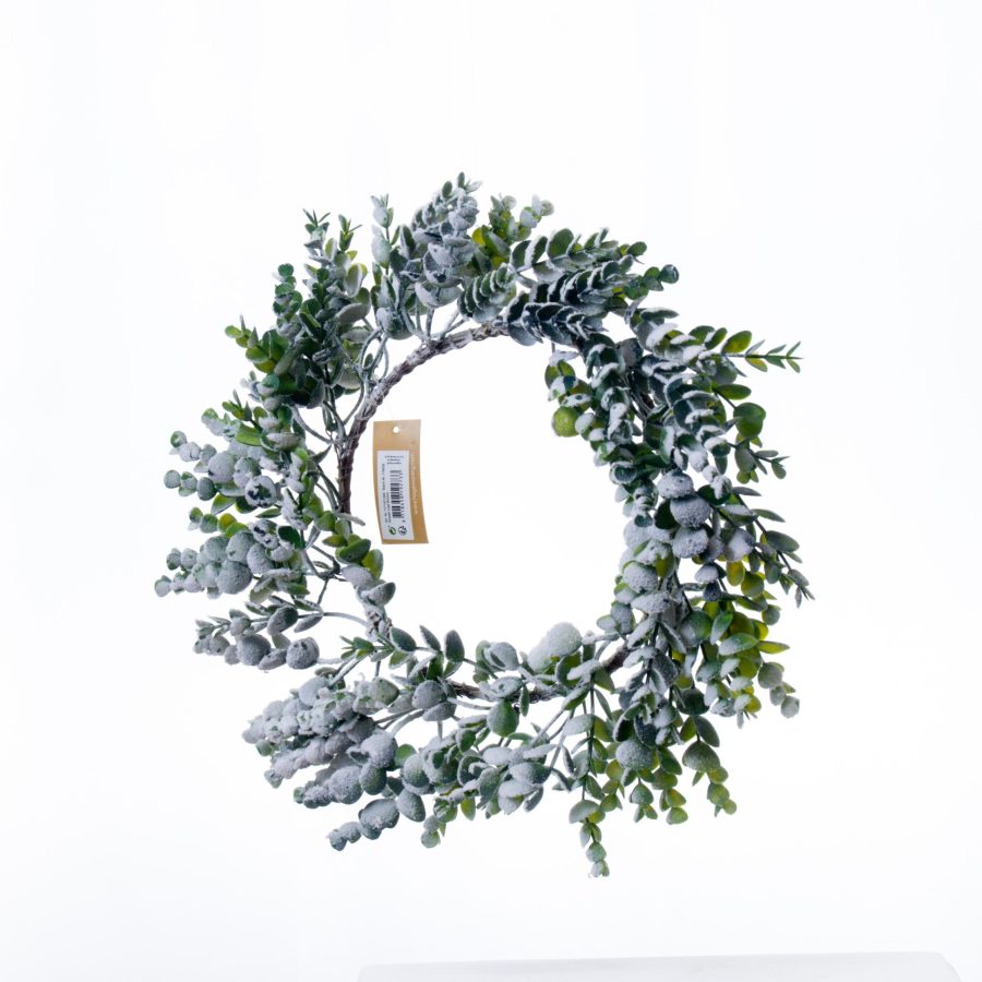 Snowy Wreath Eucalyptus Leaf