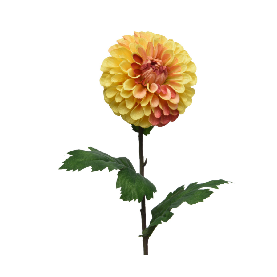Dahlia Stem