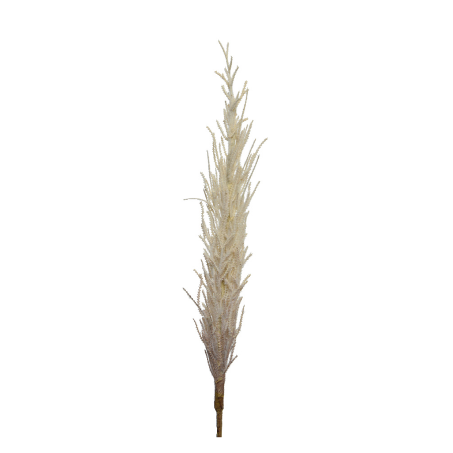 Natural Pampas Grass
