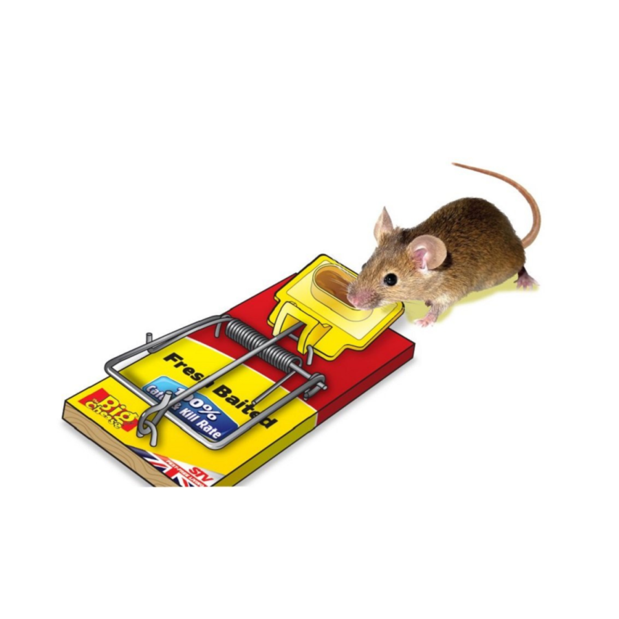 The Big Cheese Fresh Bait Mouse Trap - Image 3