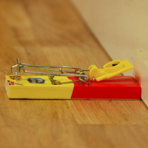 The Big Cheese Fresh Bait Mouse Trap - Image 8