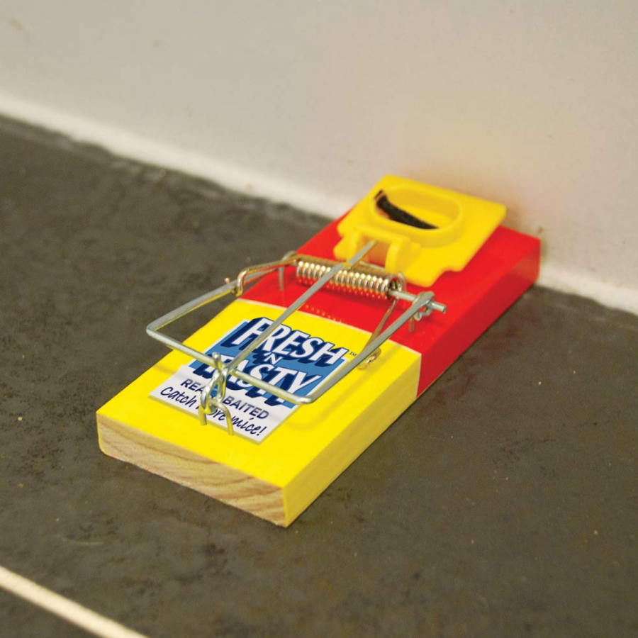 The Big Cheese Fresh Bait Mouse Trap - Image 5