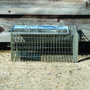 Big Cheese Rat Cage - Image 6
