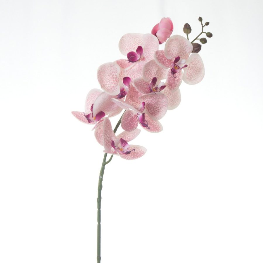 Silk Orchid Stem