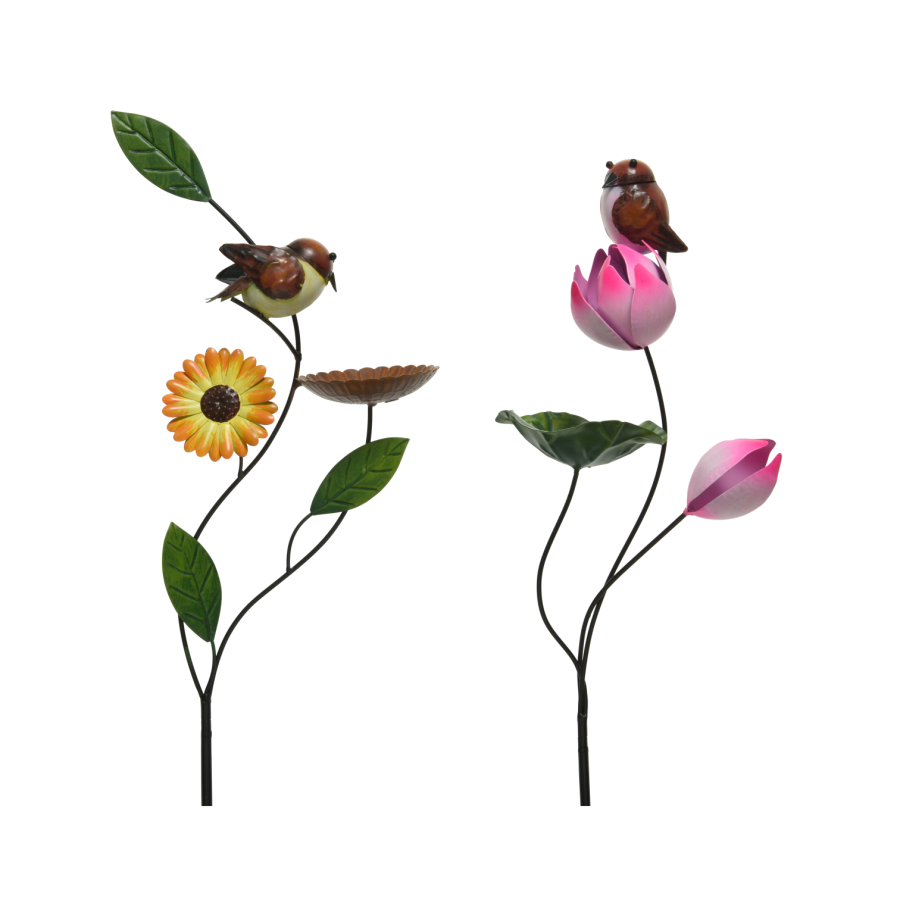 Garden Pick Birds With Birdfeeder