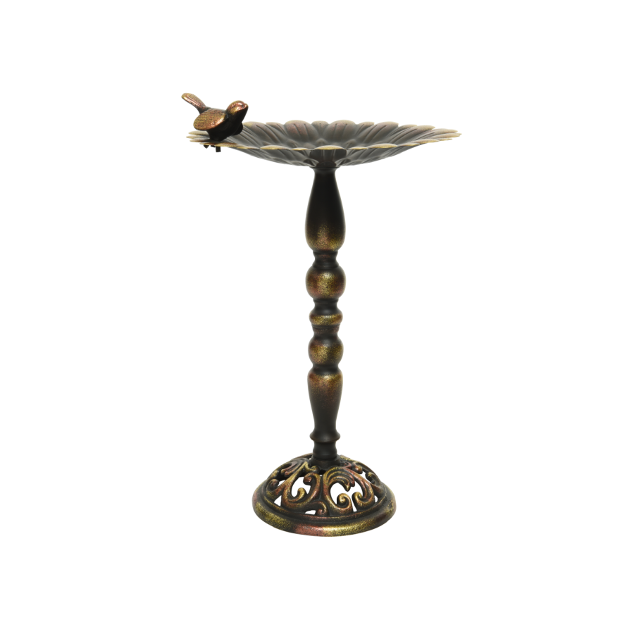 Bird Bath
