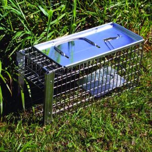 Big Cheese Rat Cage - Image 4