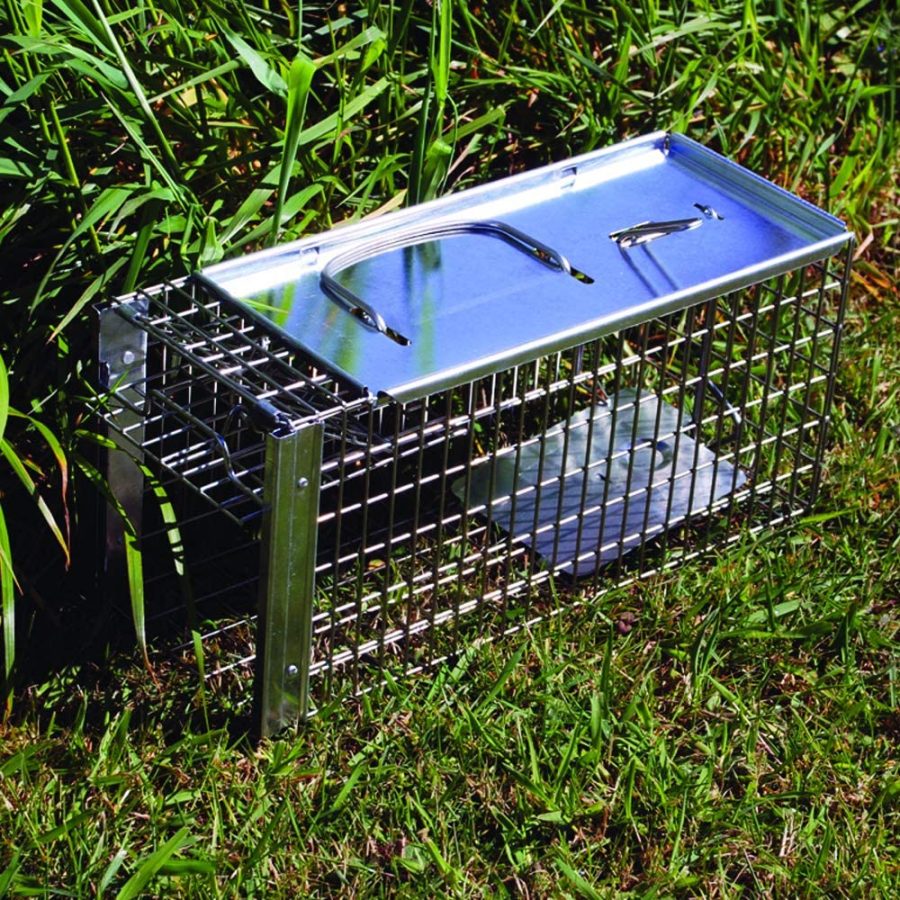 Big Cheese Rat Cage - Image 4