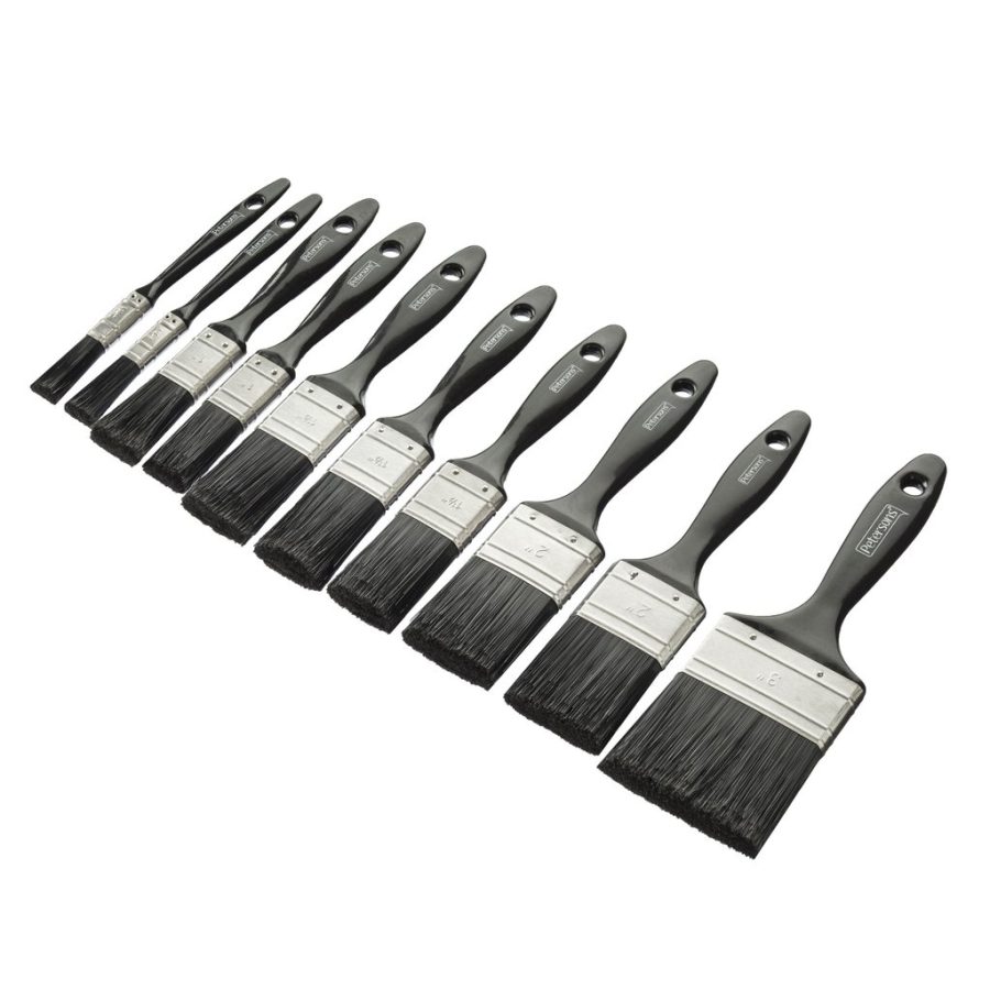 Petersons Praxis 10 Piece Brush Set