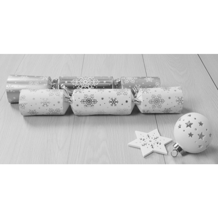 Silver Snowflake Recyclable Crackers - Pack of 10 - Image 2