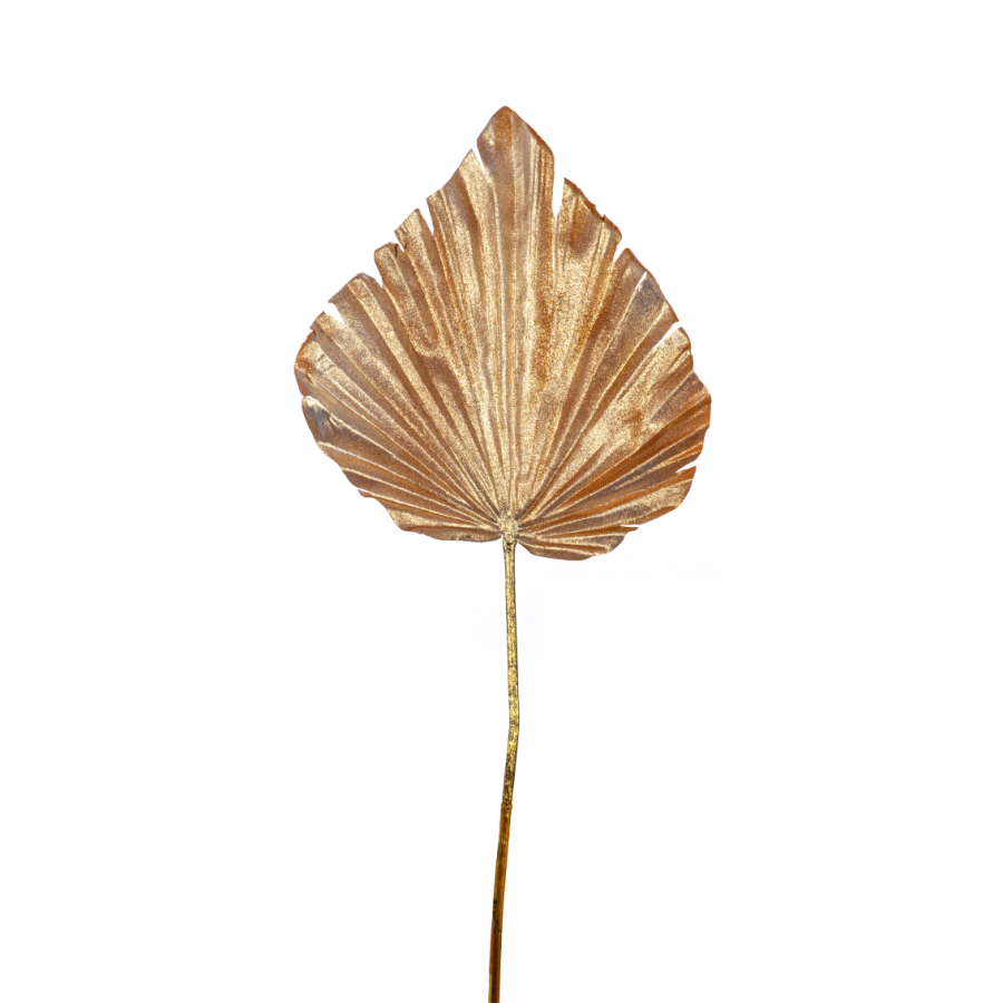 Fan Palm Stem