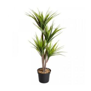 Artificial Dragon Tree Plant 105cm